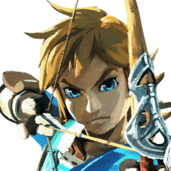 🌾 Link (TLoZ: BotW)